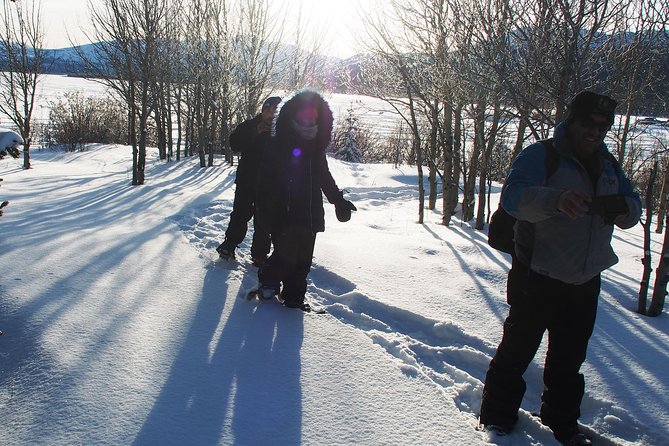 Yukon Ice Fishing & Snowshoeing Tour | Half Day - Accessibility and Fitness