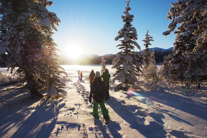 Yukon Snowshoeing Adventure | Half Day - Inclusions and Logistics