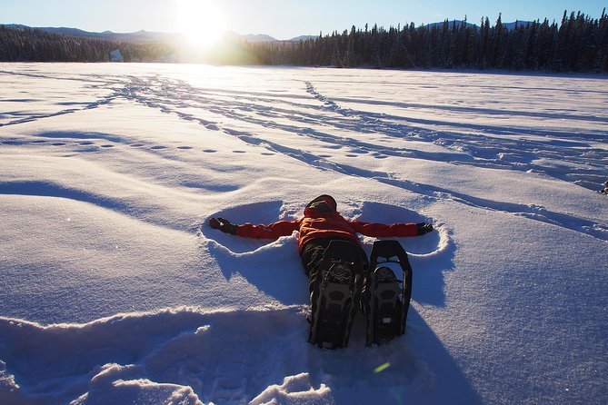 Yukon Snowshoeing Adventure | Half Day - Preparing for the Adventure