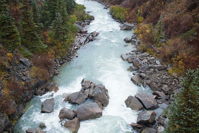 Yukon Suspension Bridge and Summit Tour - Cancellation Policy