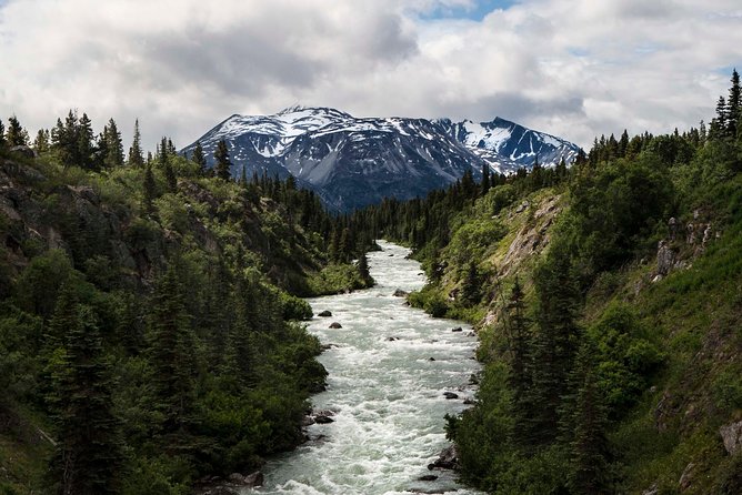 Yukon Suspension Bridge and Summit Tour - Pickup and Drop-off