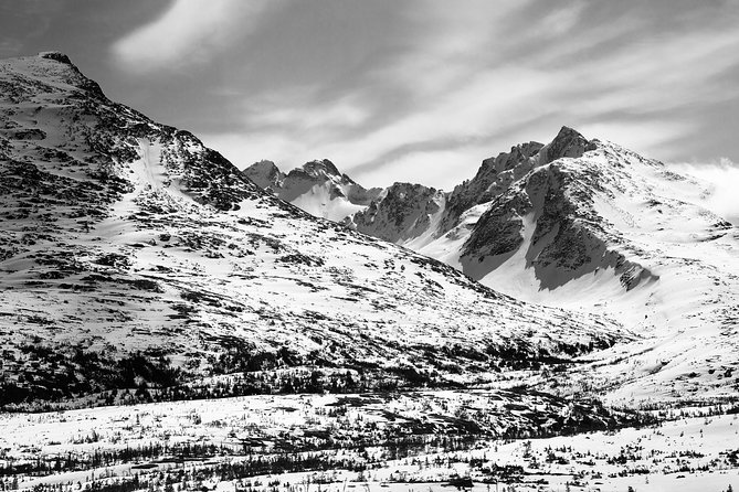 Yukon Suspension Bridge and Summit Tour - Scenic Photo Opportunities