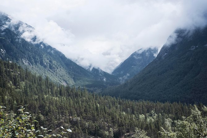 Yukon Suspension Bridge and Summit Tour - Yukon Gold Rush History