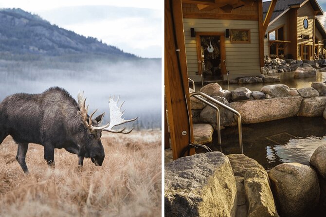 Yukon Wildlife Preserve & Eclipse Nordic Hot Springs - Key Points
