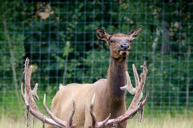 Yukon Wildlife Preserve & Eclipse Nordic Hot Springs - Accessibility