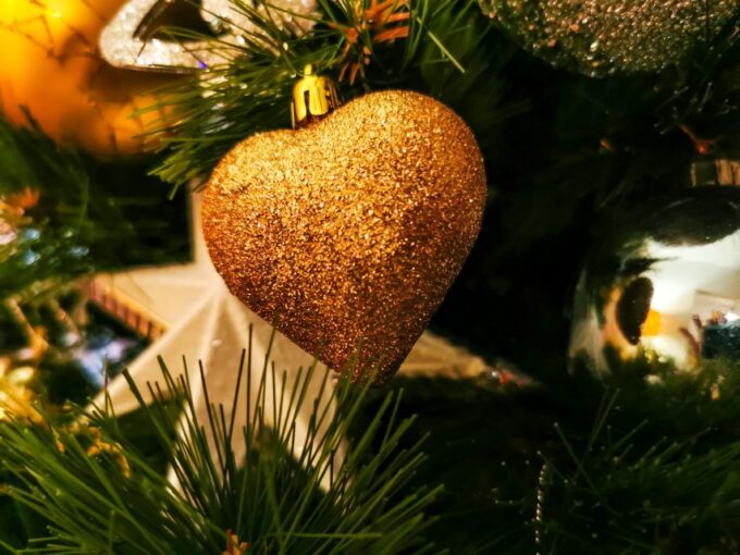 Yuletide Magic in Zadar: A Christmas Journey - Booking and Meeting Information