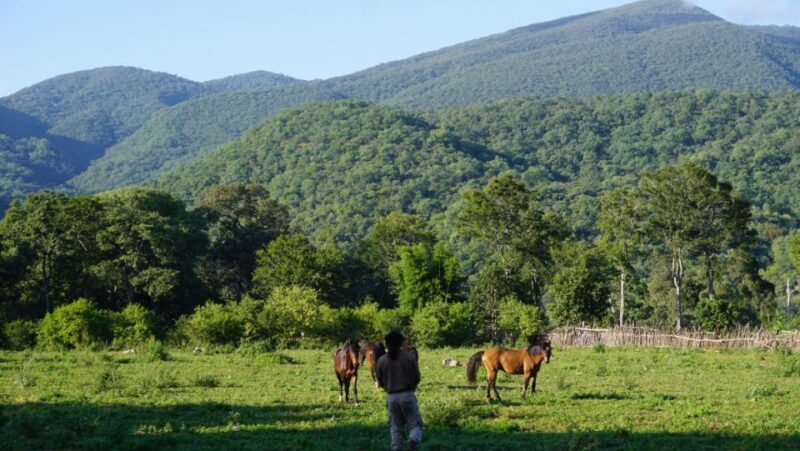 Yungas : Full Day With Gauchos - Key Points