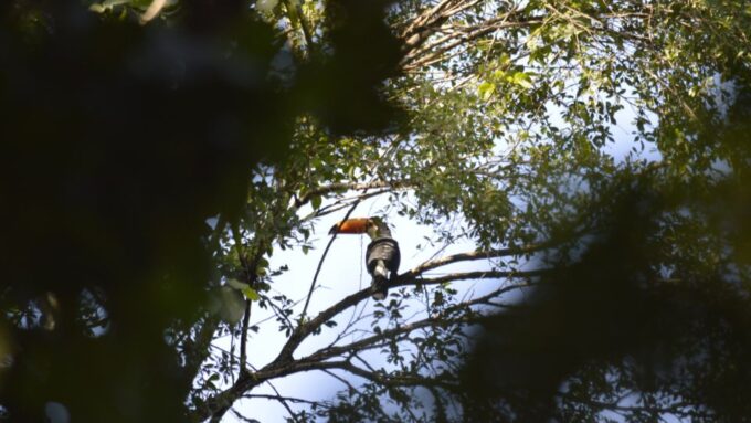 Yungas : Full Day With Gauchos - Getting to the Finca