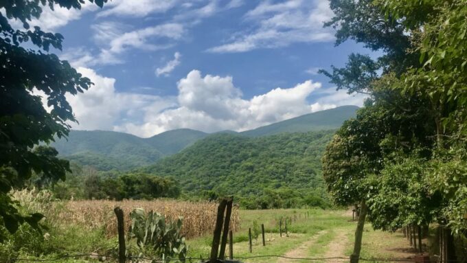 Yungas : Full Day With Gauchos - A Day in the Yungas