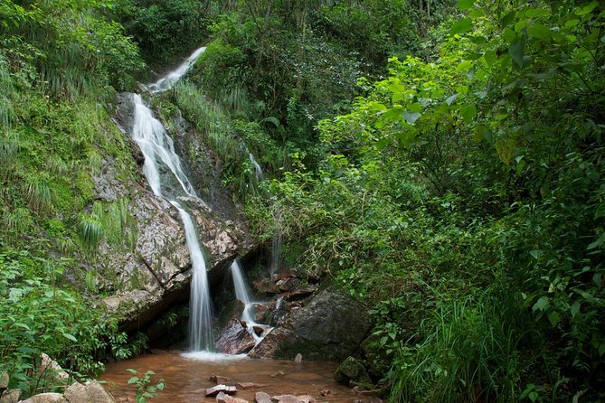 Yungas Half-Day Tour From Tucuman - Key Points