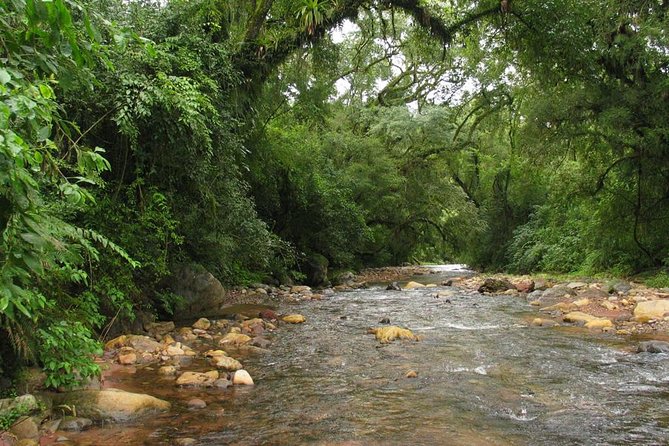 Yungas Half-Day Tour From Tucuman - Discover Yungas Natural Beauty
