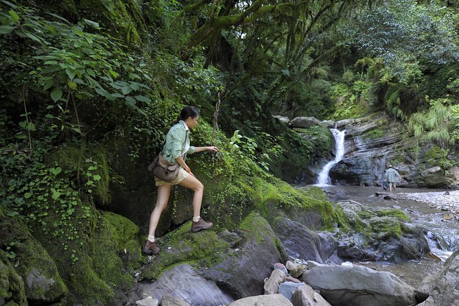 Yungas Half-Day Tour From Tucuman - Transportation Details