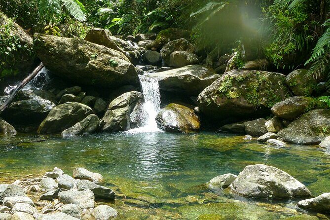 Yunque & Piñones Tour Hike Eat & Adventure with a Local; San Juan - Key Points