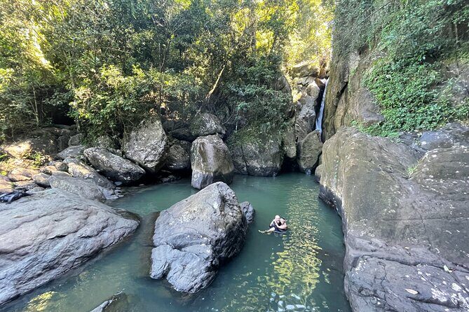 Yunque & Piñones Tour Hike Eat & Adventure with a Local; San Juan - An Authentic Day in Nature and Local Life
