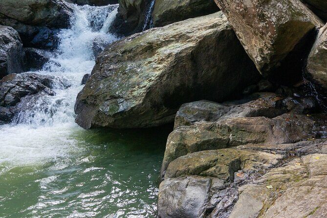 Yunque & Piñones Tour Hike Eat & Adventure with a Local; San Juan - Practical Details and Value
