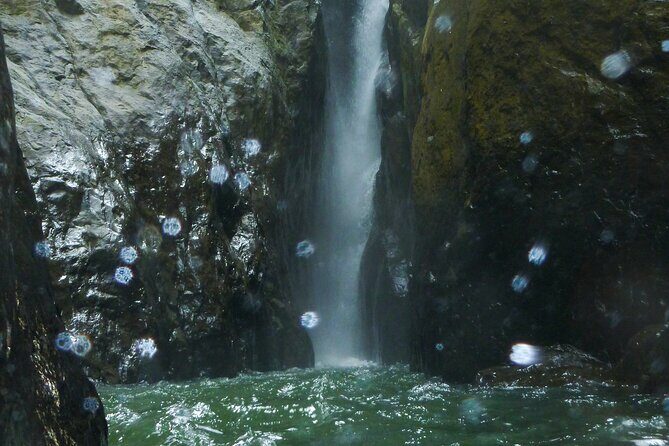 Yunque & Piñones Tour Hike Eat & Adventure with a Local; San Juan - Who Should Book This Tour?