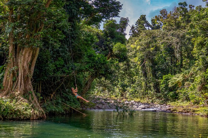 Yunque Rainforest River Rope Swing With Waterslide and Beach Tour - Tour Overview and Experience