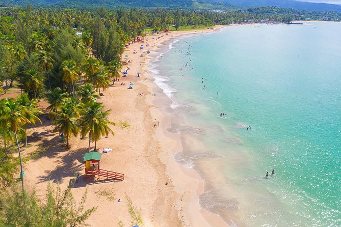 Yunque Rainforest River Rope Swing With Waterslide and Beach Tour - Group Size and Booking Details