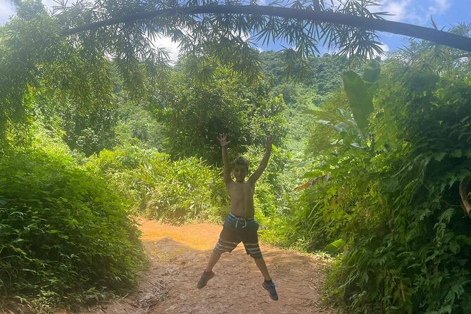 Yunque Rainforest Tour in Puerto Rico - Traveler Reviews and Feedback