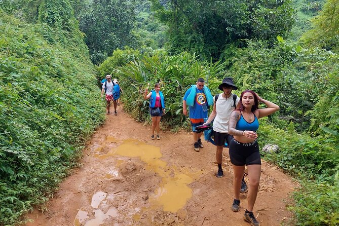 Yunque Rainforest Tour in Puerto Rico - Booking and Pricing Information