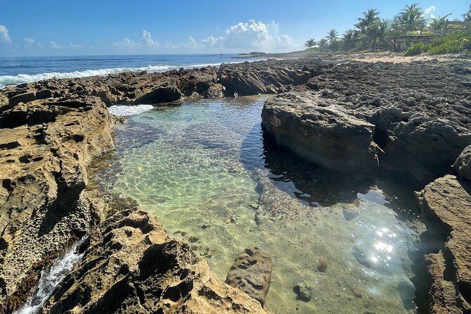 Yunque & Piñones Tour Hike Eat & Adventure With a Local; San Juan - Expert Guidance and Adventure Activities