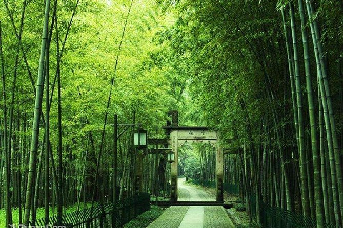 Yunxi Bamboo Forest Tour Review - Meeting and Pickup