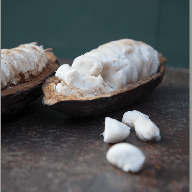 Zaandijk: Chocolate Making Demonstration & Tasting - Experience Highlights