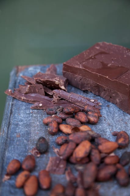 Zaandijk: Chocolate Making Demonstration & Tasting - Cacao Heritage Exploration
