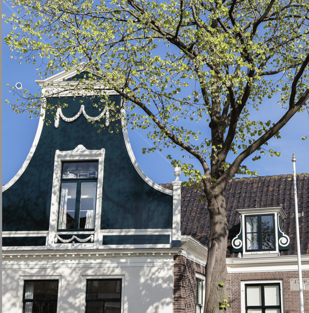 Zaandijk: Chocolate Walkabout Tour & Chocolate Tasting - Group Size and Accessibility