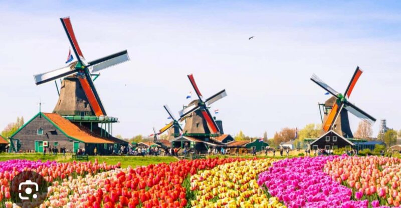 Zaanse Schans - Cheesefactory -Volendam, Private Tour. - Key Points