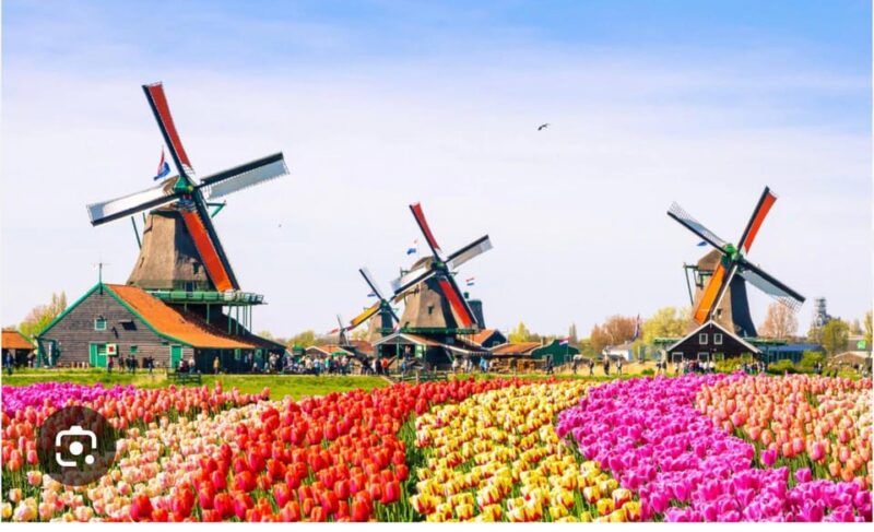 Zaanse Schans - Cheesefactory -Volendam, Private Tour. - Booking Information