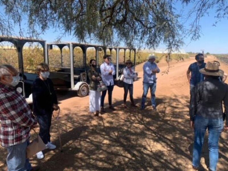 Zacatecas: Campo Real Winery Tour - Wine Experience
