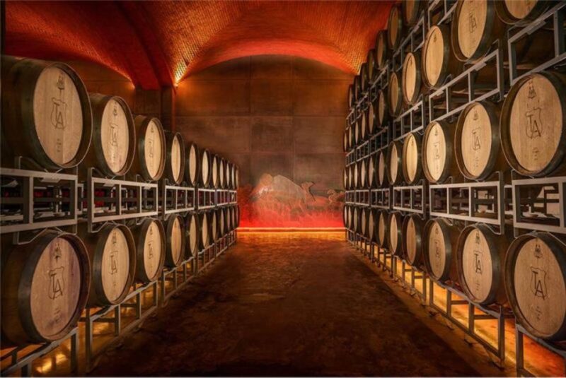 Zacatecas: Campo Real Winery Tour - Included Offerings
