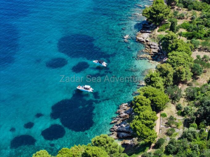 Zadar: 3-Island Speedboat Tour With Snorkeling - Snorkeling in Clear Waters