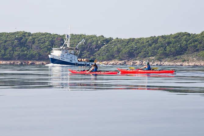 Zadar Archipelago 3 Islands Sea Kayaking Day Trip - Kayaking Basics