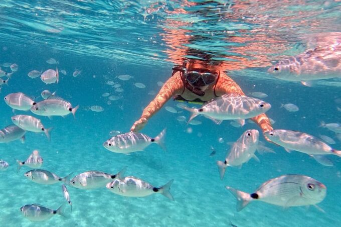 Zadar: Dugi Otok Island Discovery Day Trip With Snorkeling - Booking and Contact