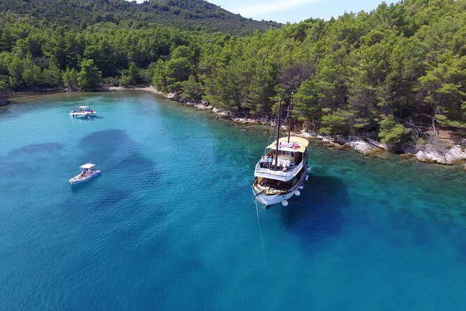 Zadar Fun Swim and Snorkel Short Day Trip @Rhythmexperience - Meeting Point and Timing