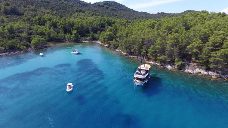 Zadar: Fun Swim and Snorkel Short Day Trip - Suitability and Recommendations