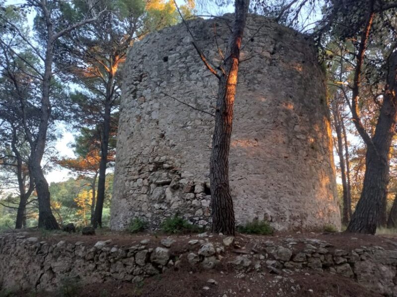 Zadar: Half-Day Boat Trip to Ošljak Island, Galevac & Ugljan - Experience and Activities