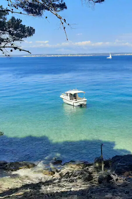 Zadar: Half-Day Island-Hopping and Lagoons Cruise With Fruit - Customer Feedback Highlights