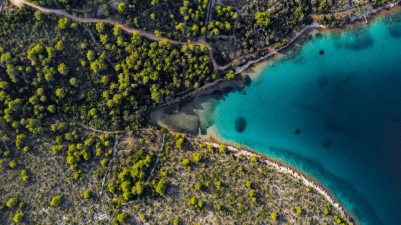Zadar: Half Day Speedboat Adventure - Speedboat Ride