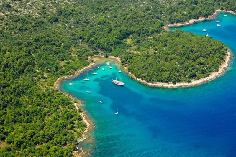Zadar: Half-Day Speedboat Tour With Snorkeling and Drinks - Good To Know