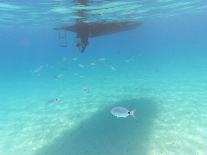 Zadar: Kornati National Park Half-Day Speedboat Tour - Reserve Now & Pay Later
