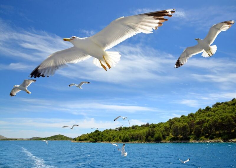 Zadar: Private Boat Trip and Entry to Kornati National Park - Inclusions