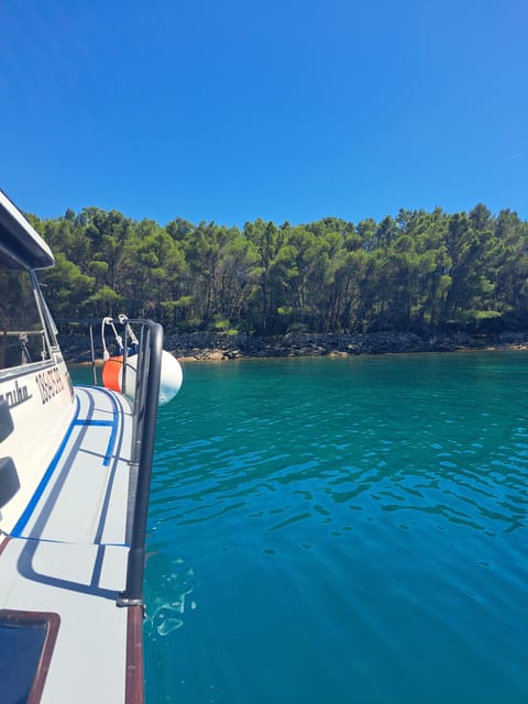 Zadar: Private Tour to Ugljan, Osljak and Galevac - Half Day - Good To Know