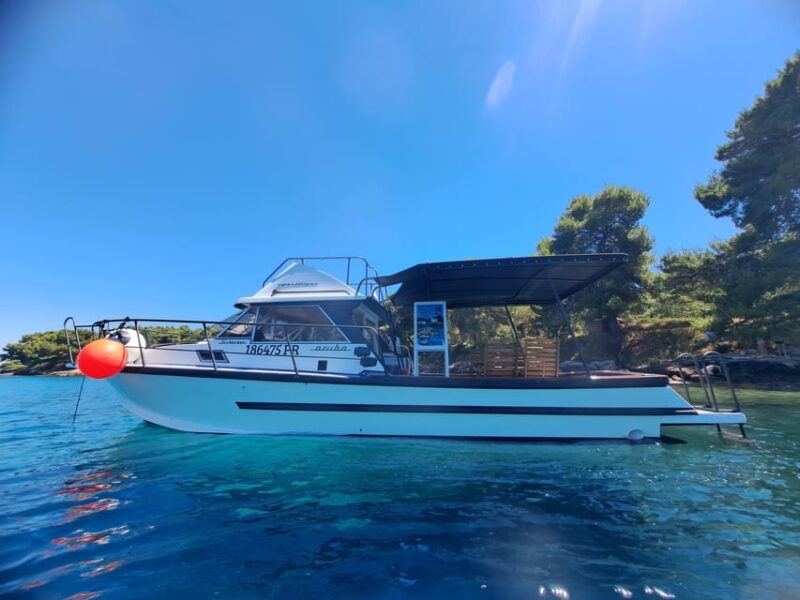 Zadar: Private Tour to Ugljan, Osljak and Galevac - Half Day - Tour Experience