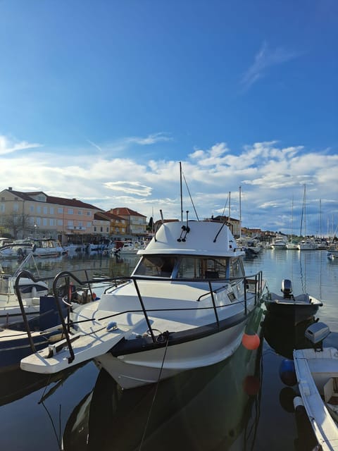 Zadar: Private Tour to Ugljan, Osljak and Galevac - Half Day - Customer Reviews