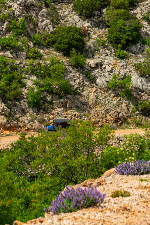 ZADAR REGION: QUAD AND BUGGY ADVENTURE TO REMEMBER - Good To Know