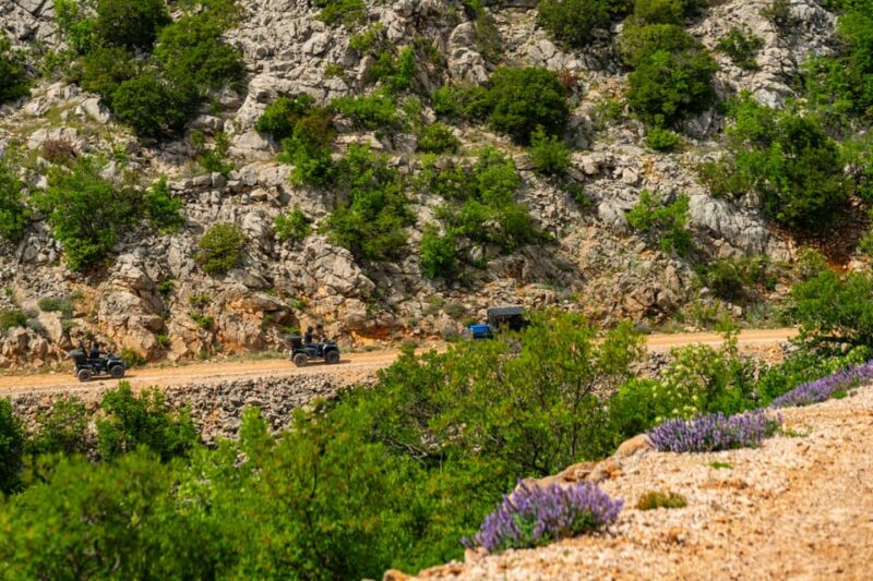 ZADAR REGION: QUAD AND BUGGY ADVENTURE TO REMEMBER - Customer Feedback