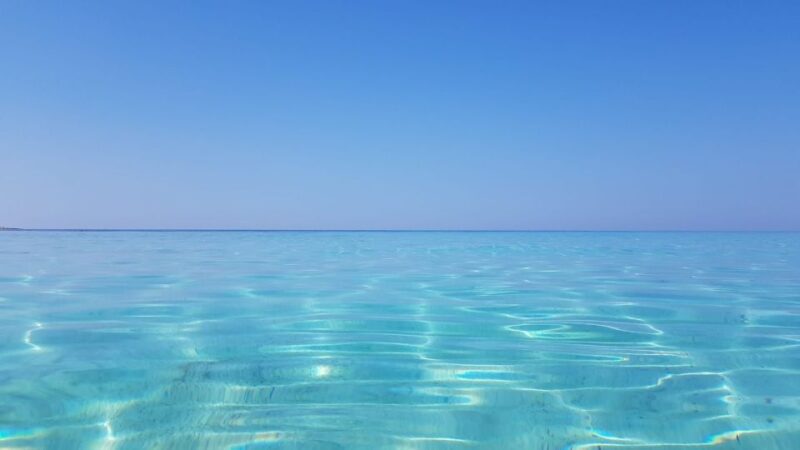 Zadar: Sakarun Bay, Golubinka Cave & Veli Žal Speedboat Tour - Customer Feedback
